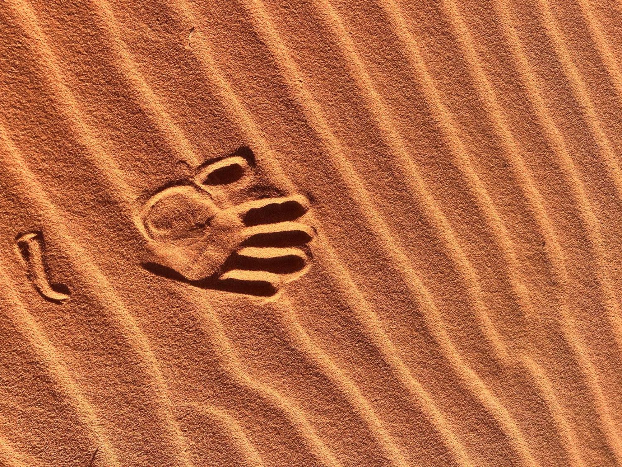 Wadi Rum Trip 外观 照片
